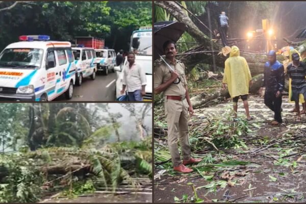 ಆಗುಂಬೆ ಘಾಟಿಯಲ್ಲಿ ಮರ ಬಿದ್ದು ಟ್ರಾಫಿಕ್ ಜಾಮ್
