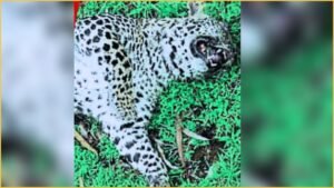 GridArt_20250829_213712143