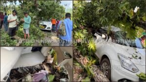 GridArt_20250904_161812867_wm_wm