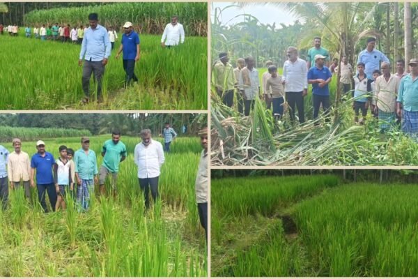 ಆನೆ ದಾಳಿಯಿಂದ ಹಾನಿಗೊಳಗಾದ ರೈತರಿಗೆ ಸಾಂತ್ವಾನ ಹೇಳಿದ ವೀರೇಶ್ ಆಲವಳ್ಳಿ – ಶಾಶ್ವತ ಪರಿಹಾರಕ್ಕೆ ಆಗ್ರಹಿಸಿ ಅರಣ್ಯ ಕಚೇರಿ ಮುಂಭಾಗ ಧರಣಿ ಎಚ್ಚರಿಕೆ