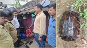 GridArt_20251030_181315691_wm