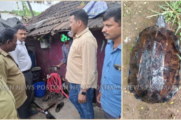 ಕಪ್ಪು ಆಮೆ ಅಕ್ರಮ ಸಂಗ್ರಹ – ಅರಣ್ಯ ಸಂಚಾರಿ ದಳದಿಂದ ದಿಢೀರ್ ದಾಳಿ, ಓರ್ವನ ಬಂಧನ