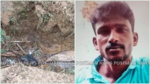 GridArt_20251118_171238595_wm