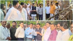 GridArt_20251129_213323501