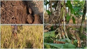 GridArt_20251208_101932821_wm