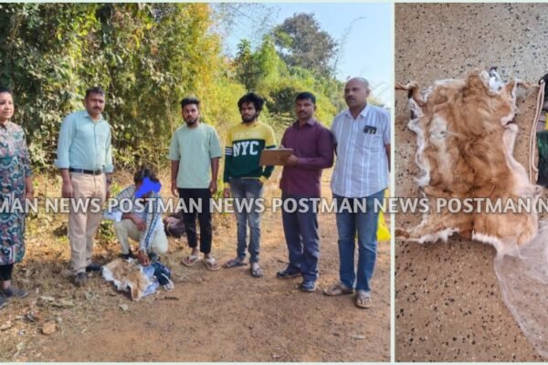 ಆನಂದಪುರ | ಜಿಂಕೆ ಚರ್ಮ ಮಾರಾಟಕ್ಕೆ ಯತ್ನ – ಪೊಲೀಸ್ ಅರಣ್ಯ ಸಂಚಾರಿದಳ ದಾಳಿ : ಮಾಲು ಸಮೇತ ಓರ್ವನ ಬಂಧನ