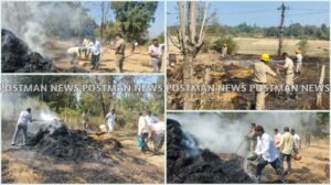 GridArt_20251215_190418596_wm