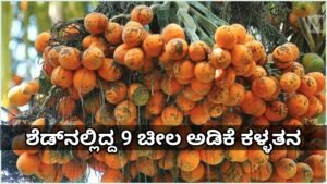 GridArt_20260107_201256064