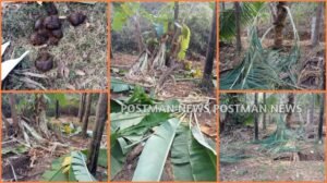 GridArt_20260109_103705541_wm